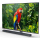 TCL 65" 65X10 UHD Mini LED - 1458071 - zdjęcie 2